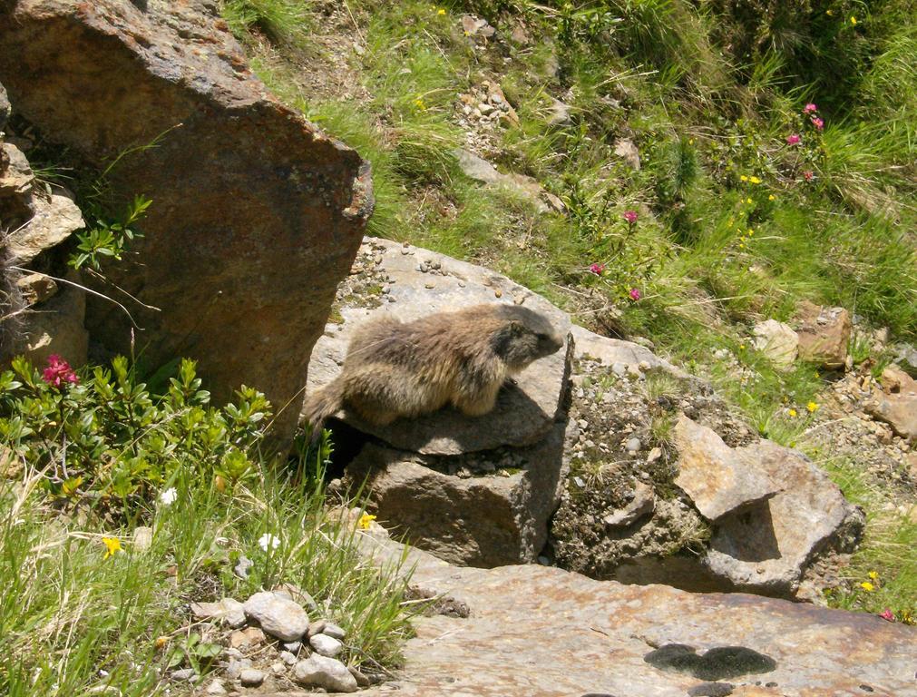 Hotel Haus Plankensteiner Kaunertal Zewnętrze zdjęcie